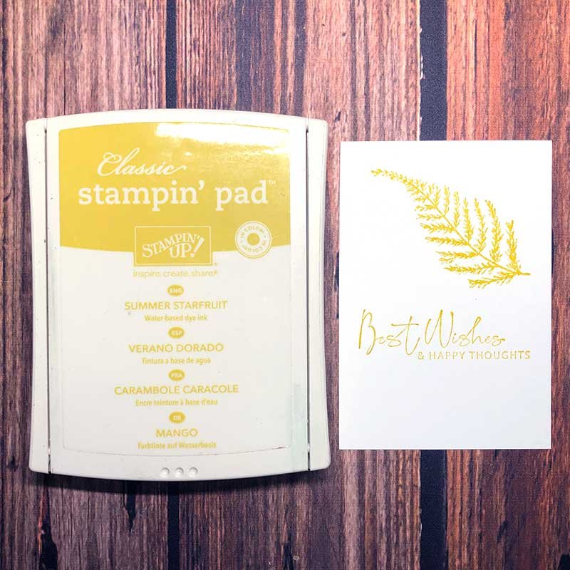 Summer Starfruit Classic Stampin' Pad + Ink Refill - Image 2