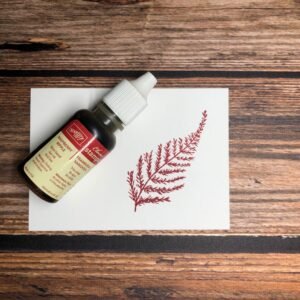 Raspberry Ripple Ink Refill