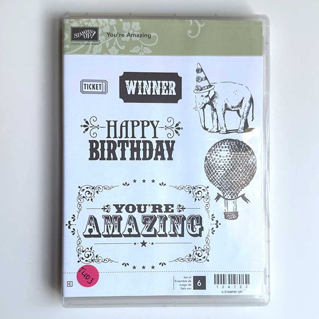 You're Amazing Rubber Stamp Set