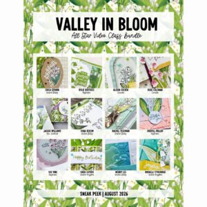 All Star Video Class Bundle August 2026